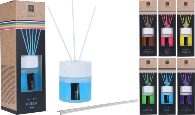 Raumduft 100ml 6 sortiert