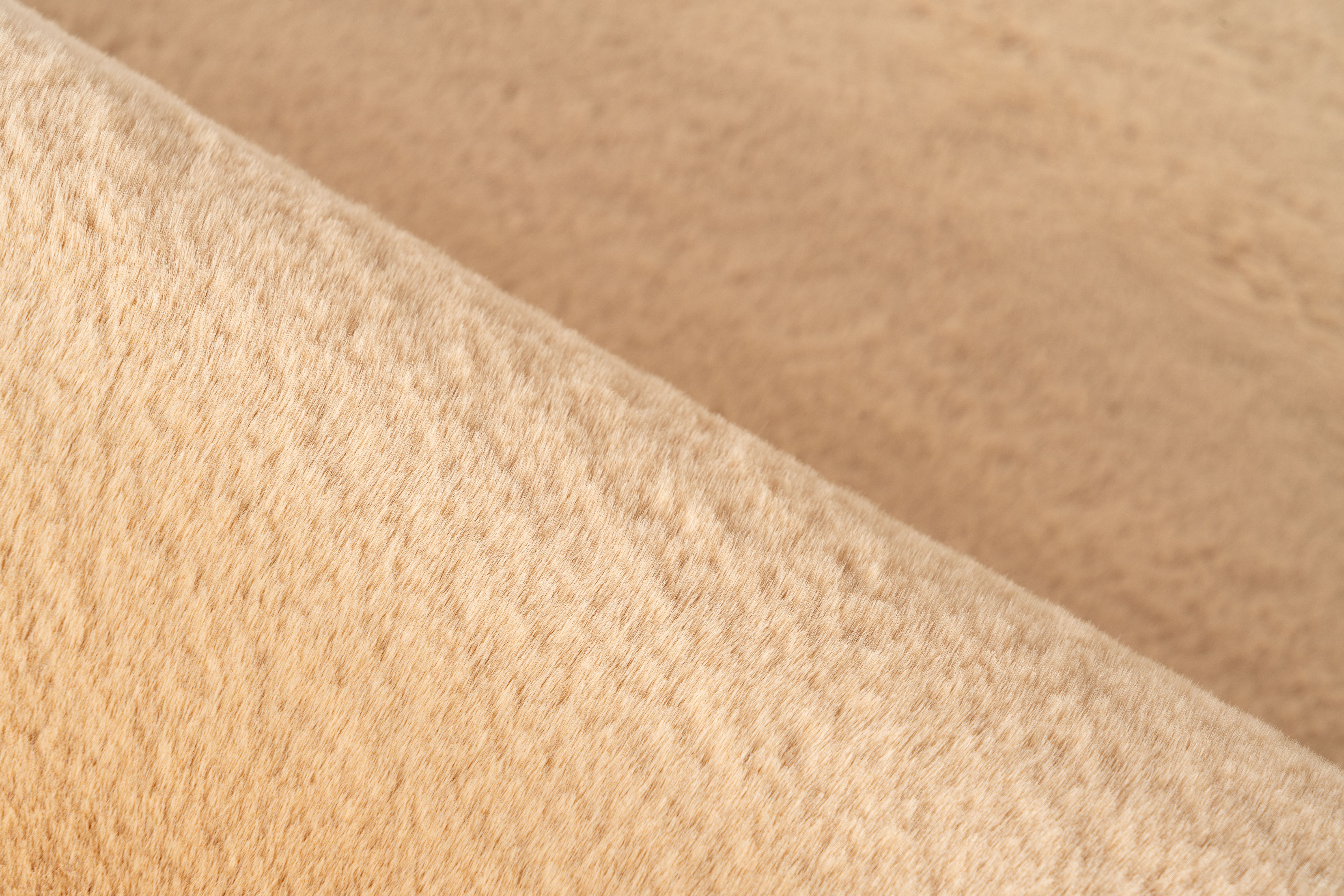 Teppich  RABBIT PRIME 125 Teppich  RABBIT PRIME 125