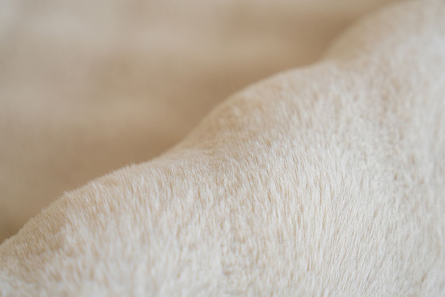 Teppich  HAILEY 125 Teppich  HAILEY 125