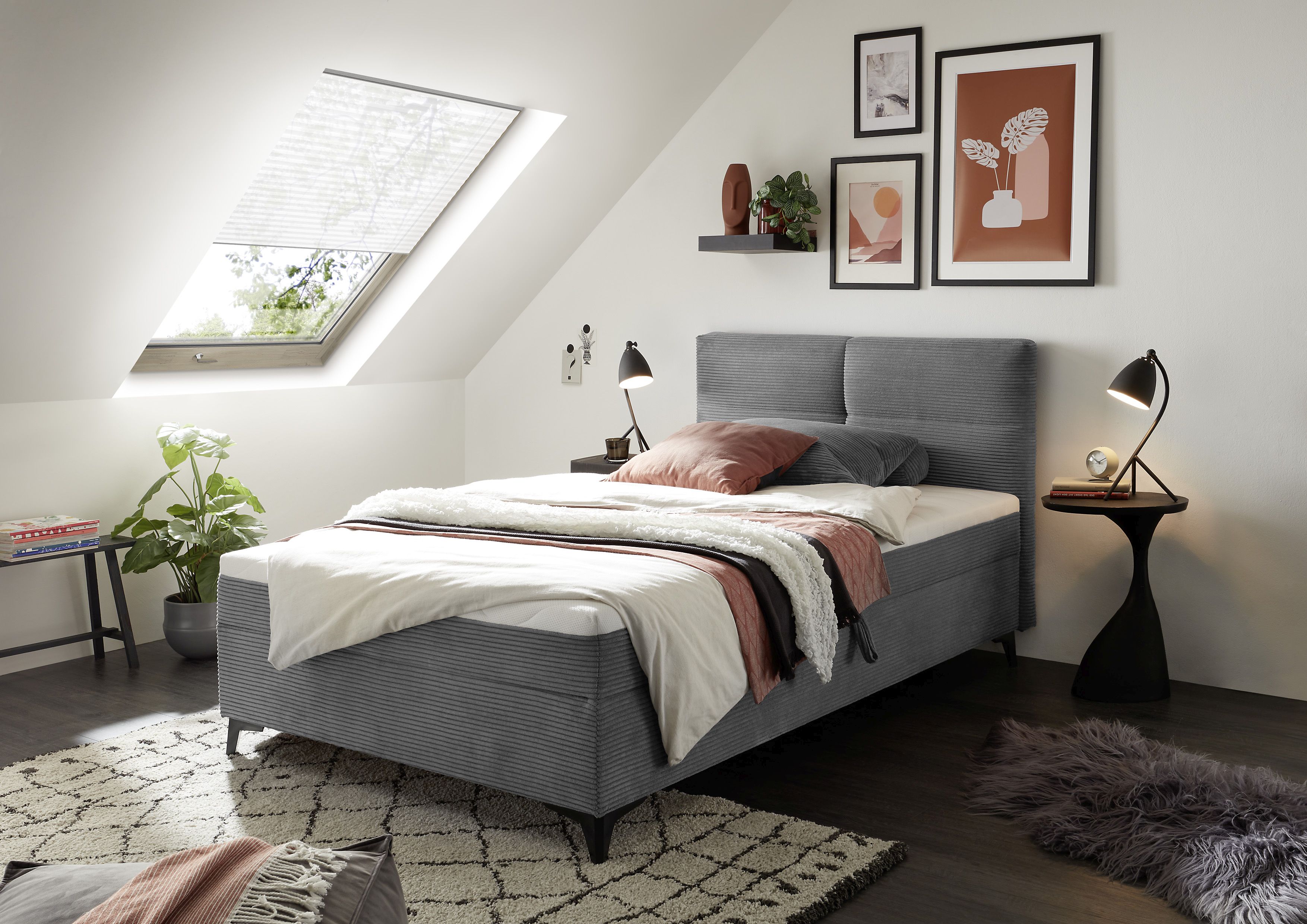 Boxbett BACALAR 1