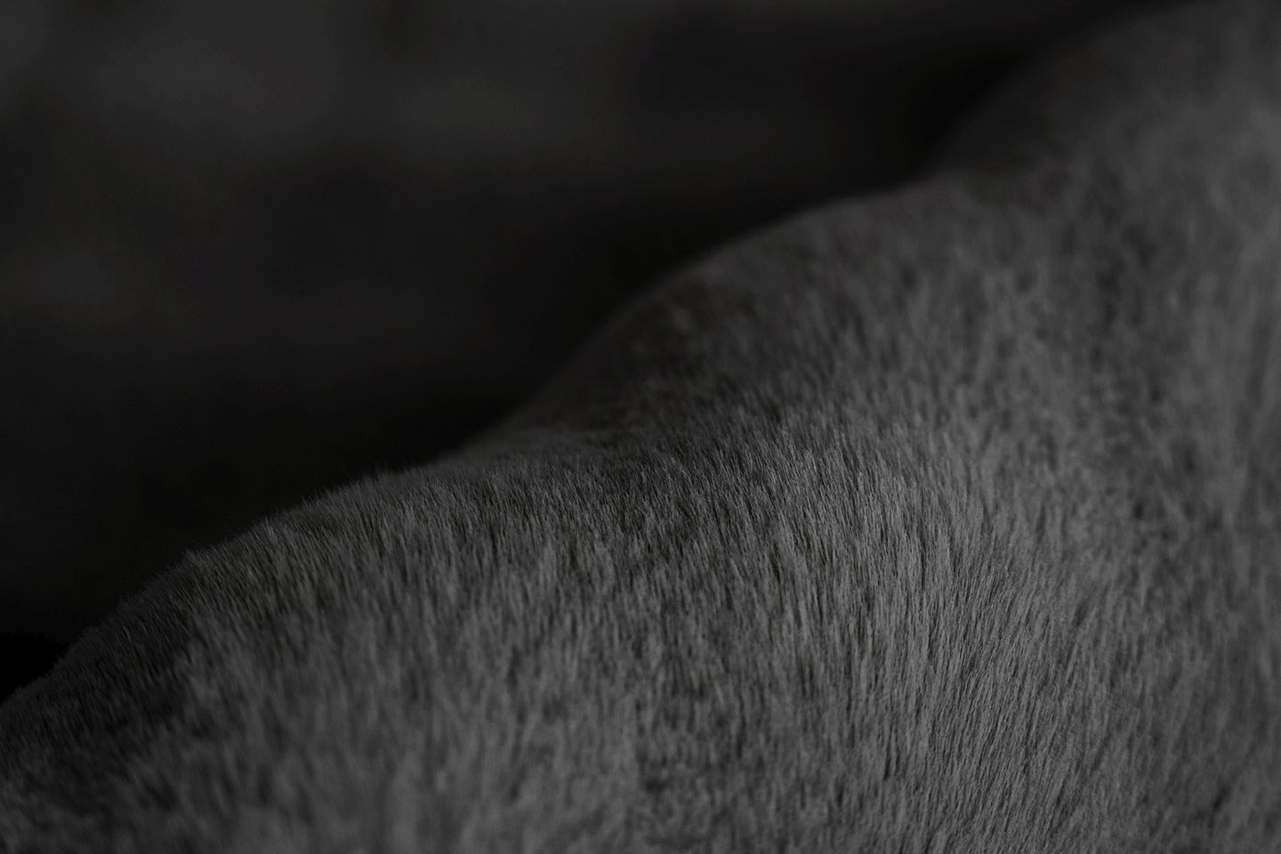 Teppich  HAILEY 125 Teppich  HAILEY 125