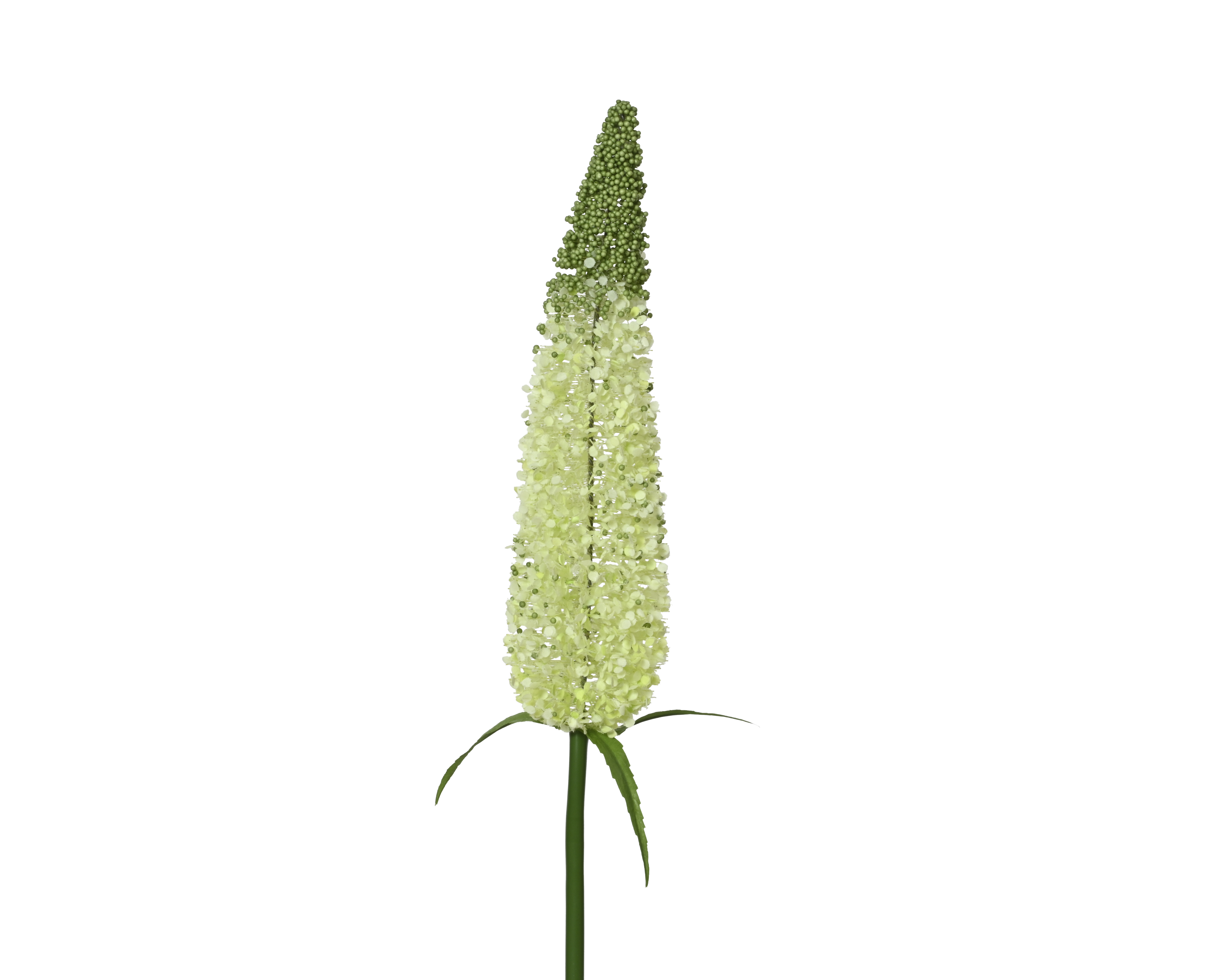 Kunstblume  PUSCHEL