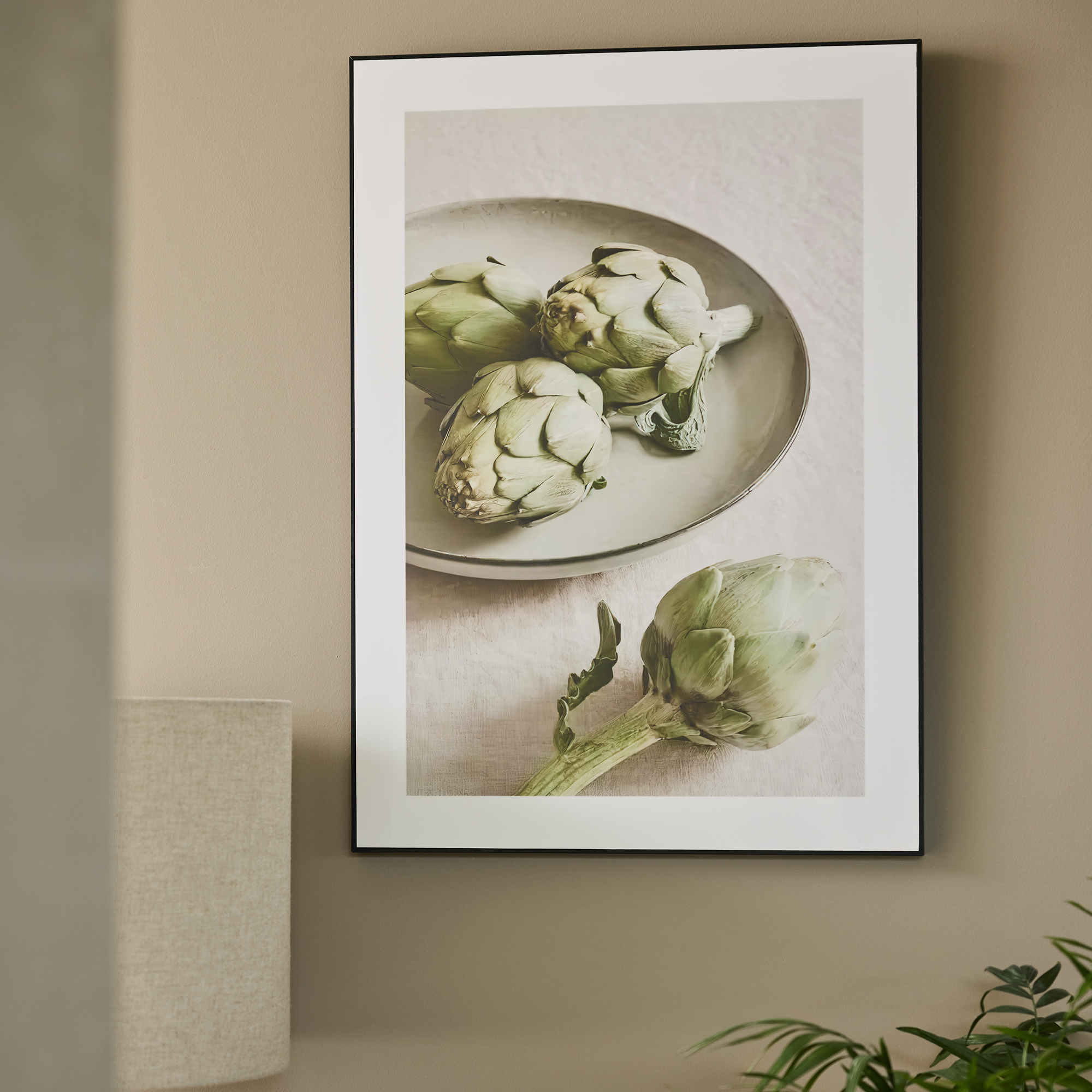 Bild ARTISCHOCKE Bild ARTISCHOCKE