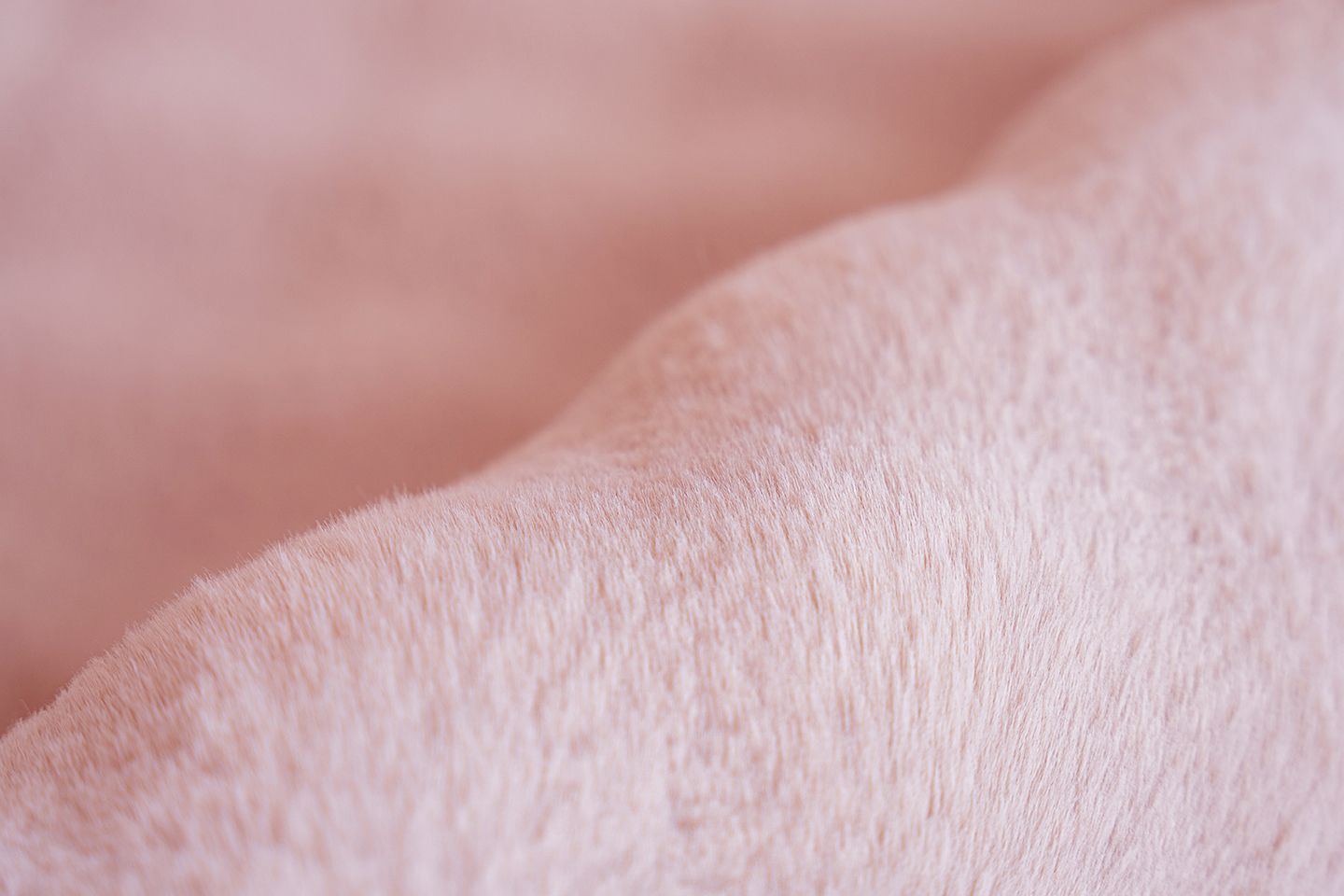 Teppich  HAILEY 125 Teppich  HAILEY 125