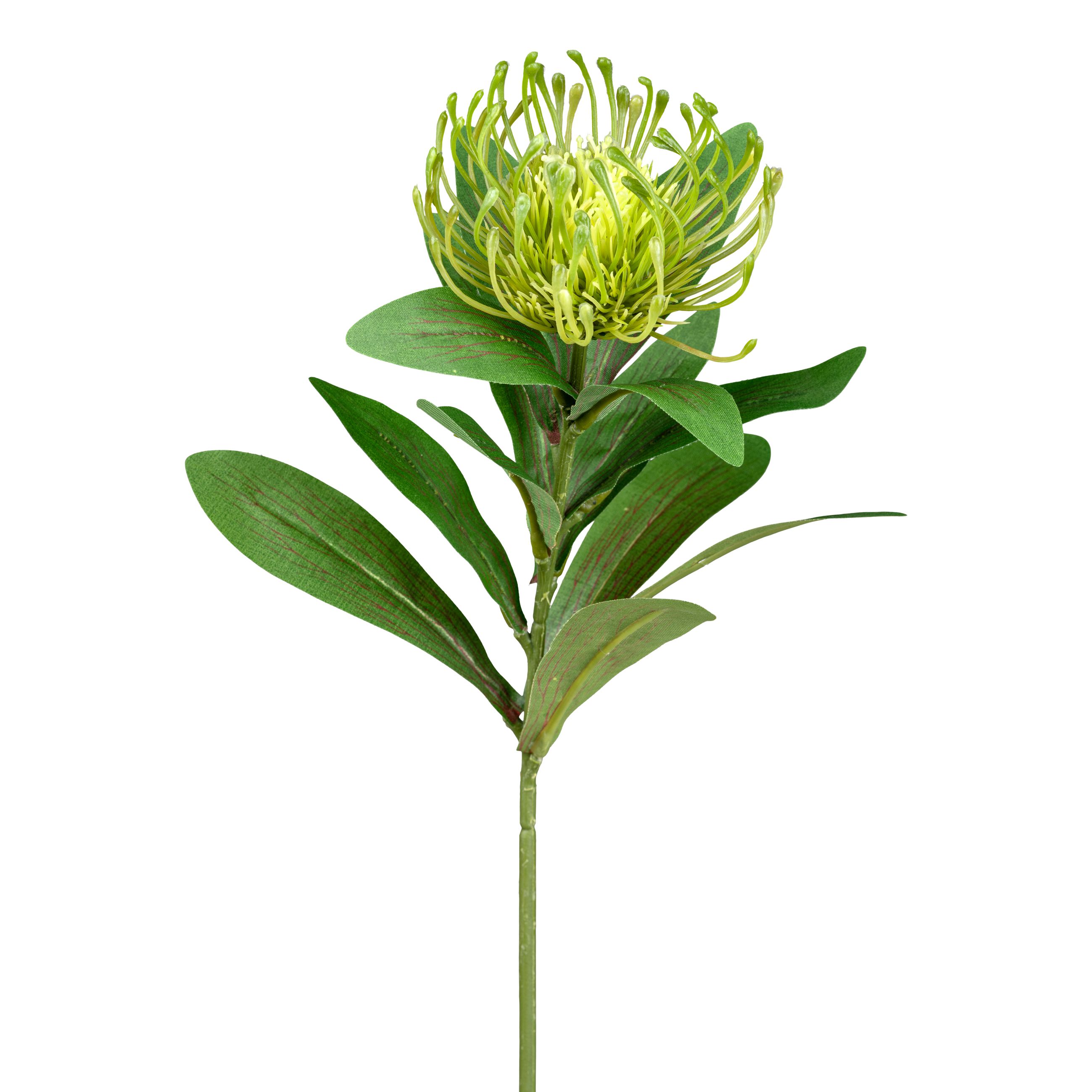 Deko-Blume 64cm NADELKISSENPROTEA