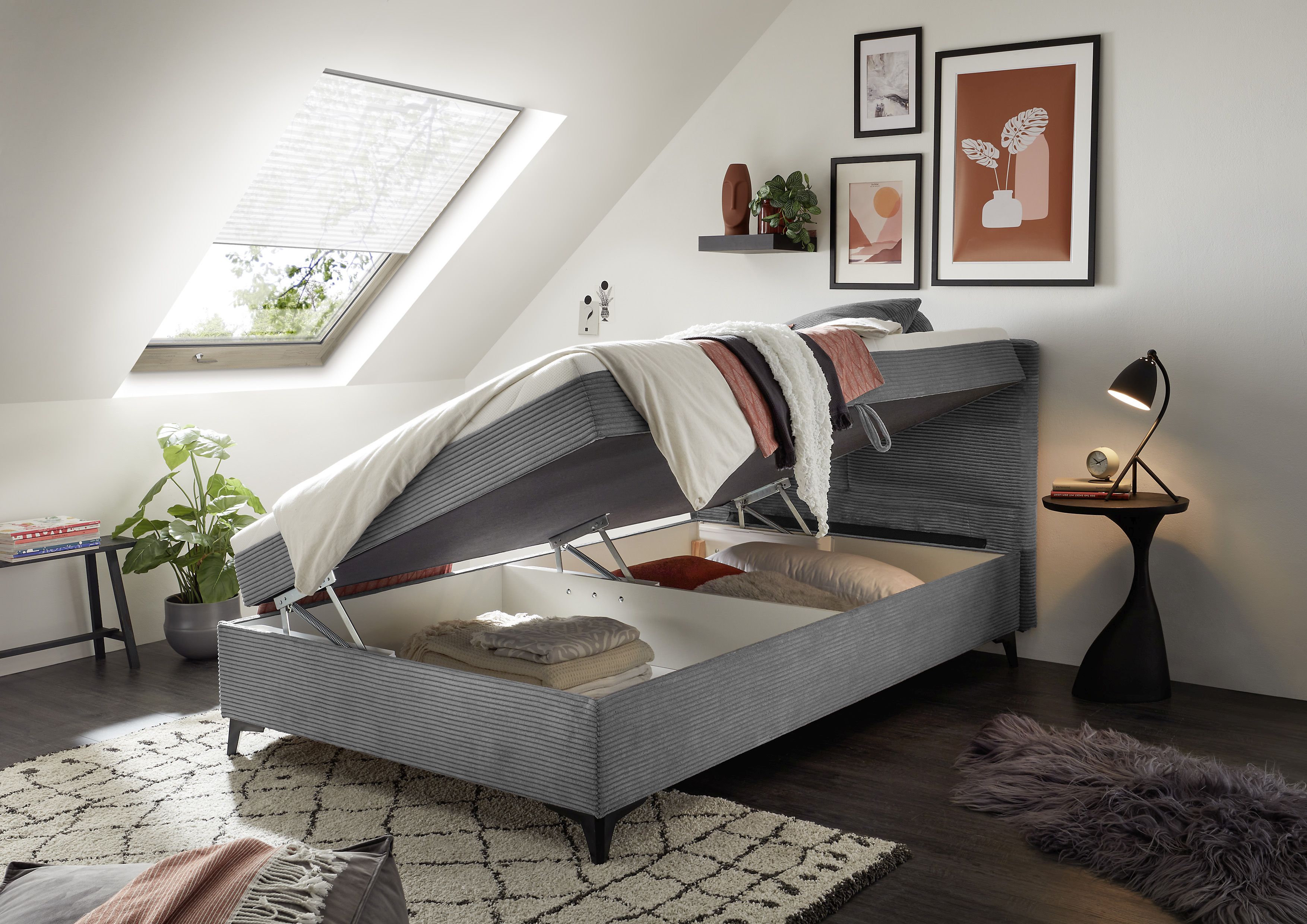 Boxbett BACALAR 1