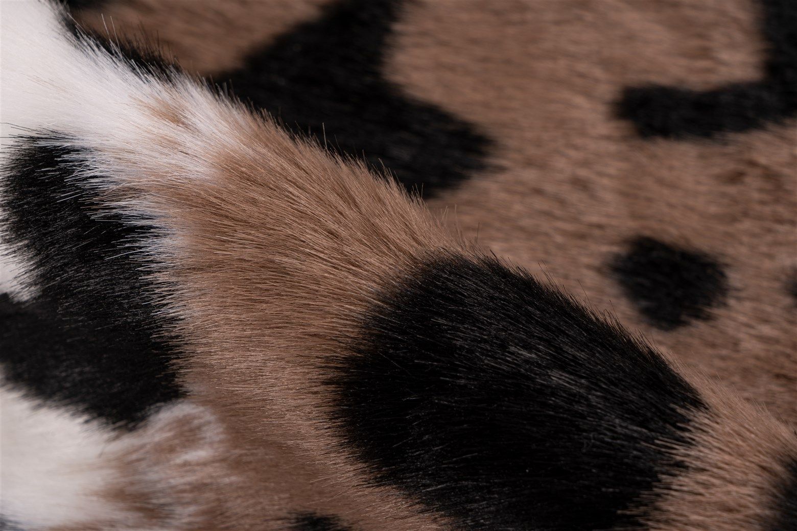 Teppich  DESERT 325 Teppich  DESERT 325