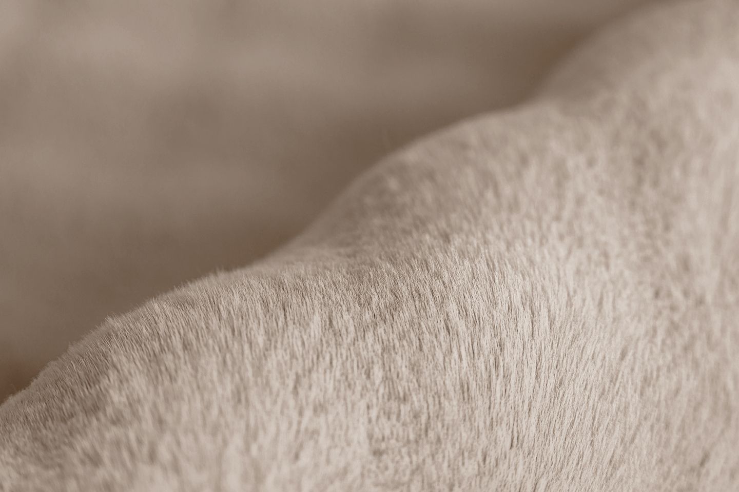 Teppich  HAILEY 125 Teppich  HAILEY 125