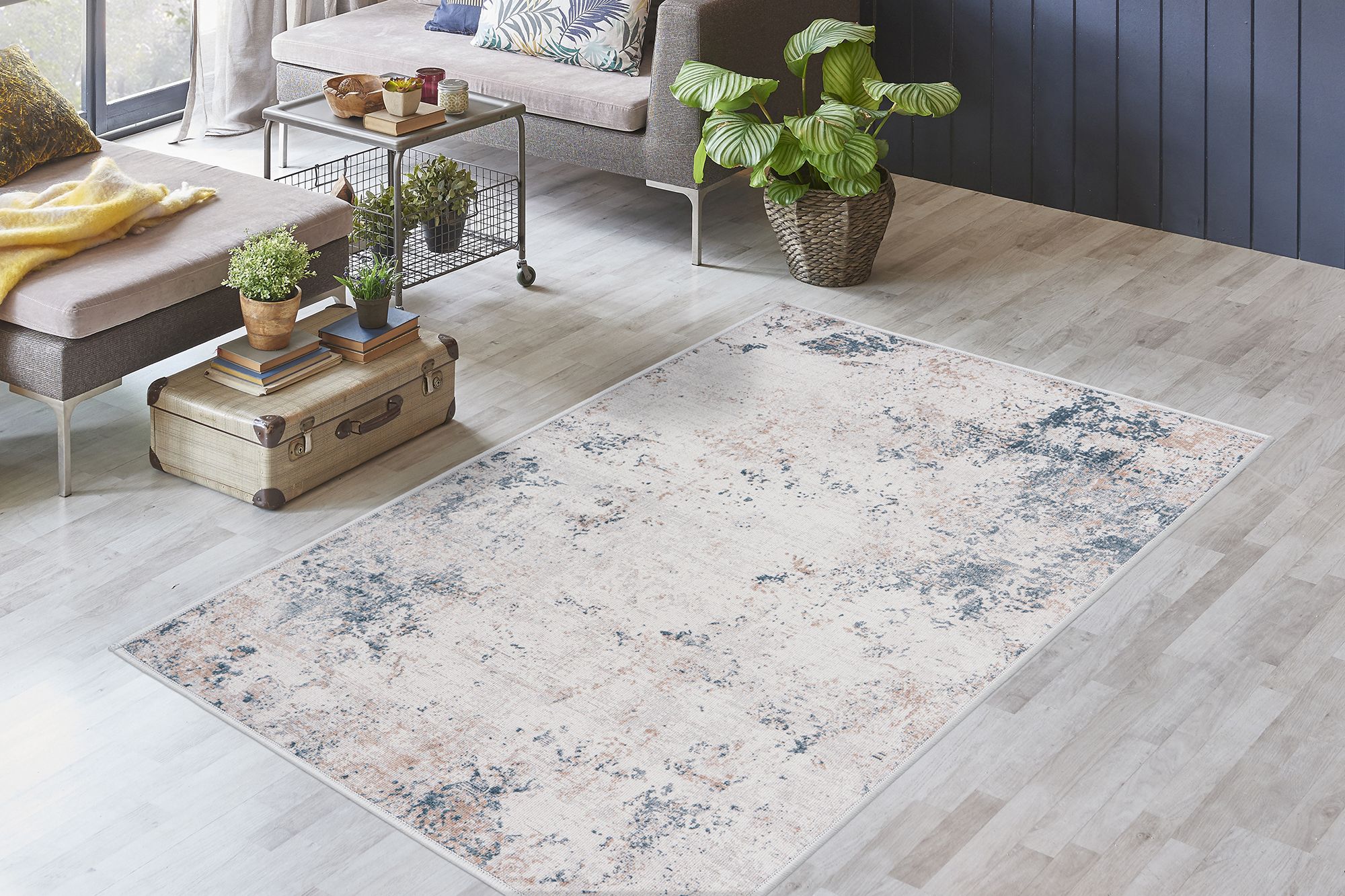 Teppich  MAGIA 825 Teppich  MAGIA 825