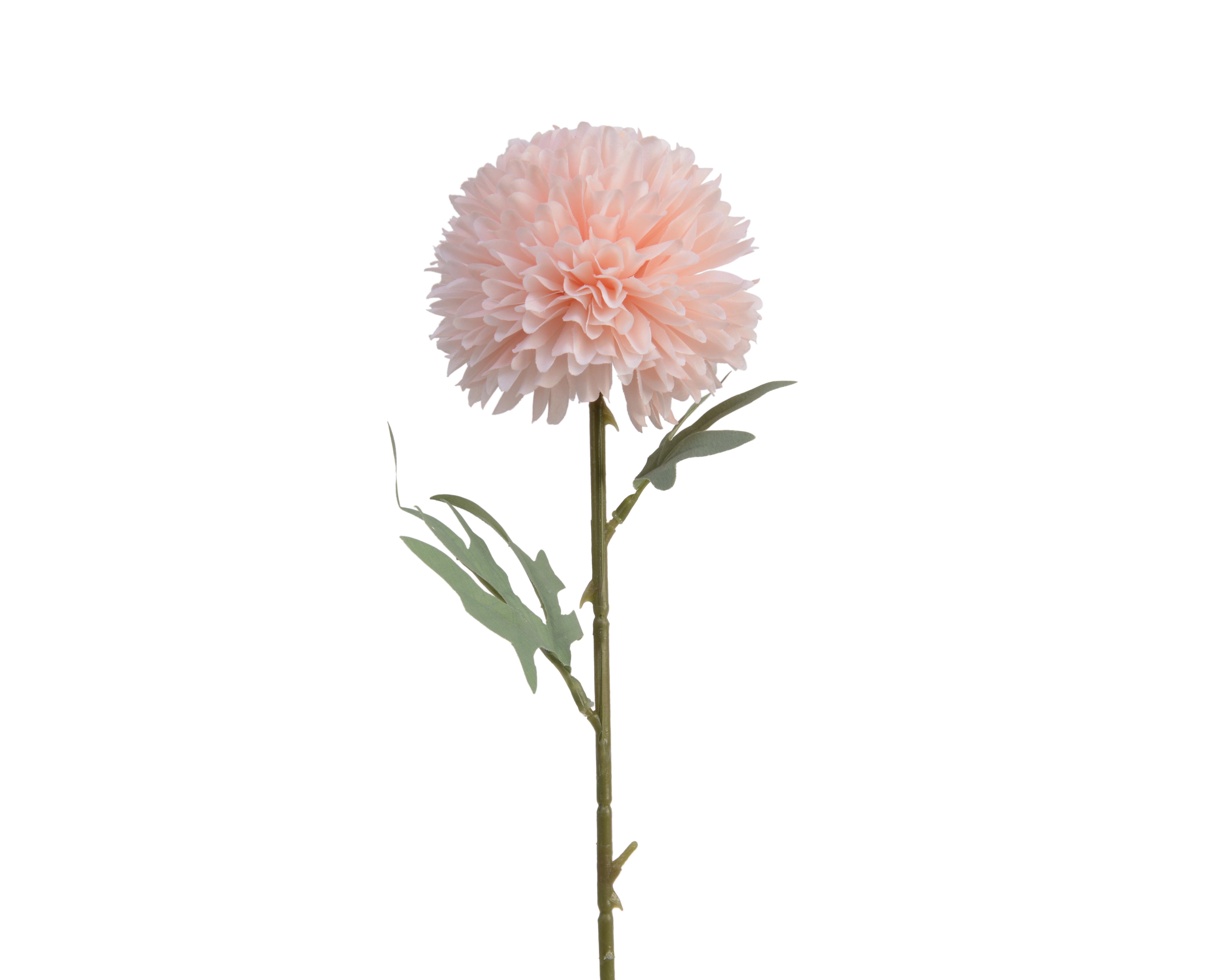 Kunstblume  FLOWER