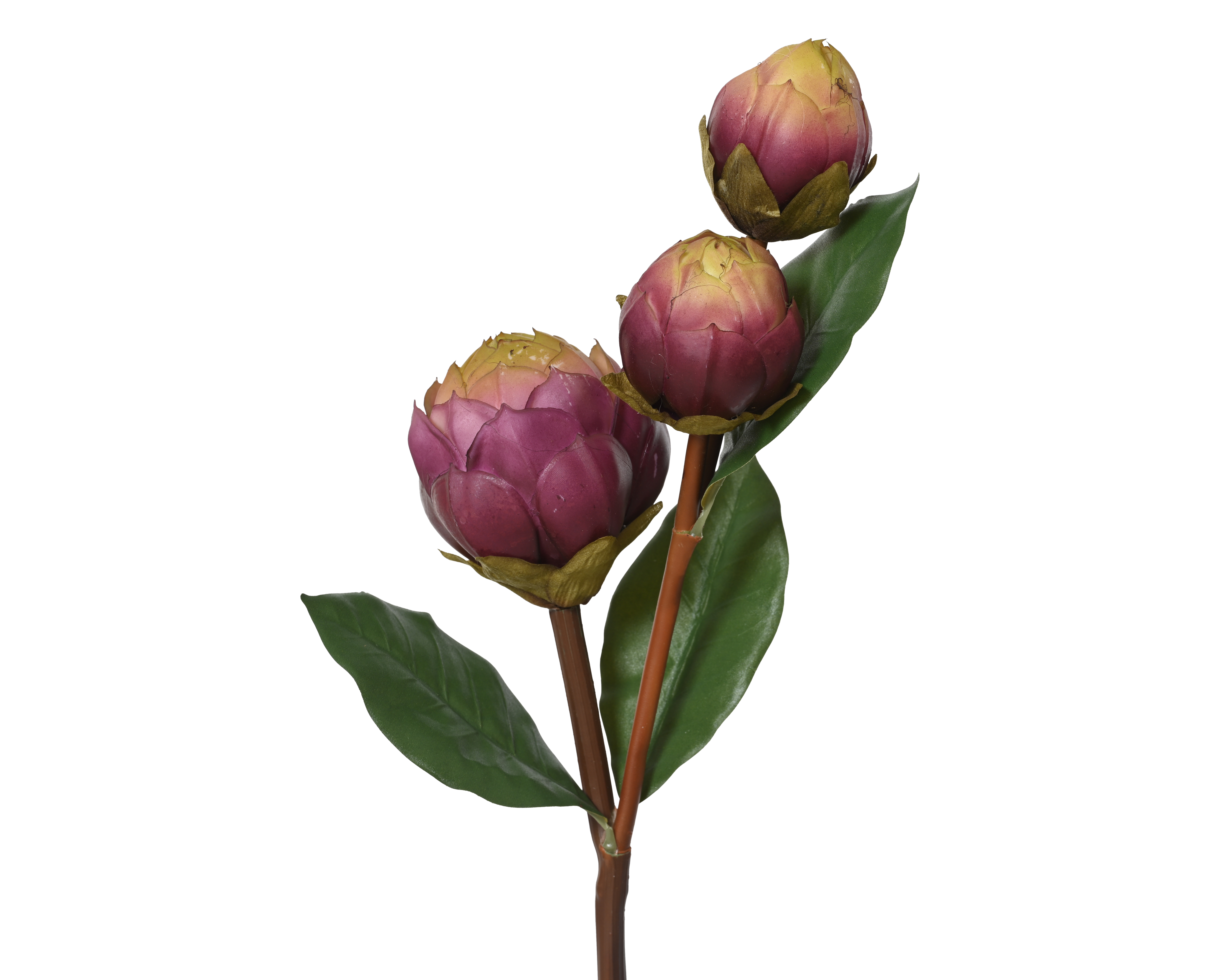 Artischocke am Stiel SPRAY Artischocke am Stiel SPRAY