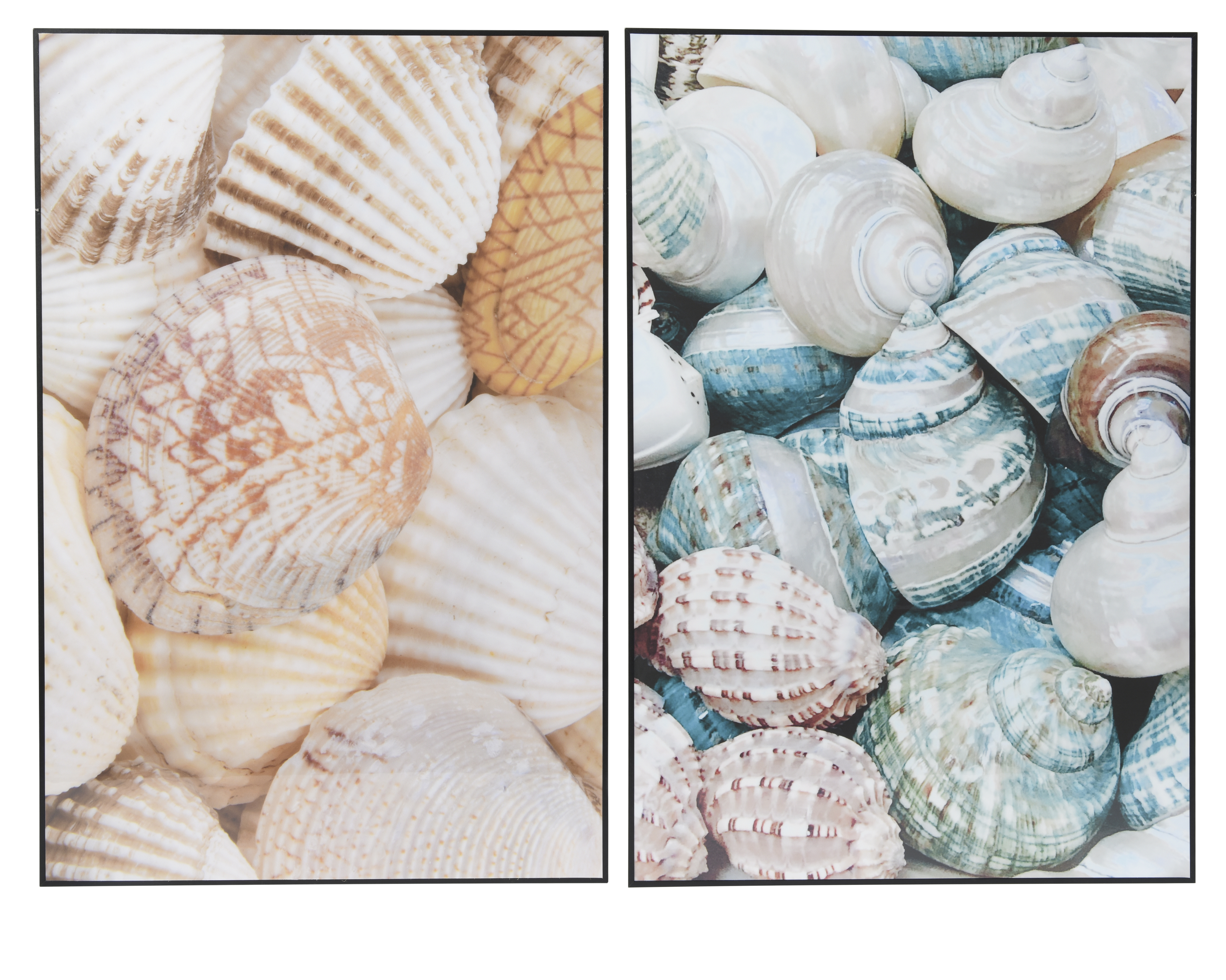 Bild Meer MARITIM