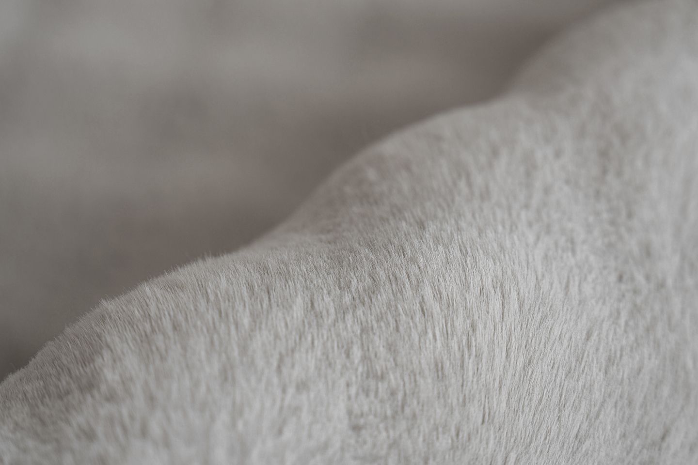 Teppich  HAILEY 125 Teppich  HAILEY 125