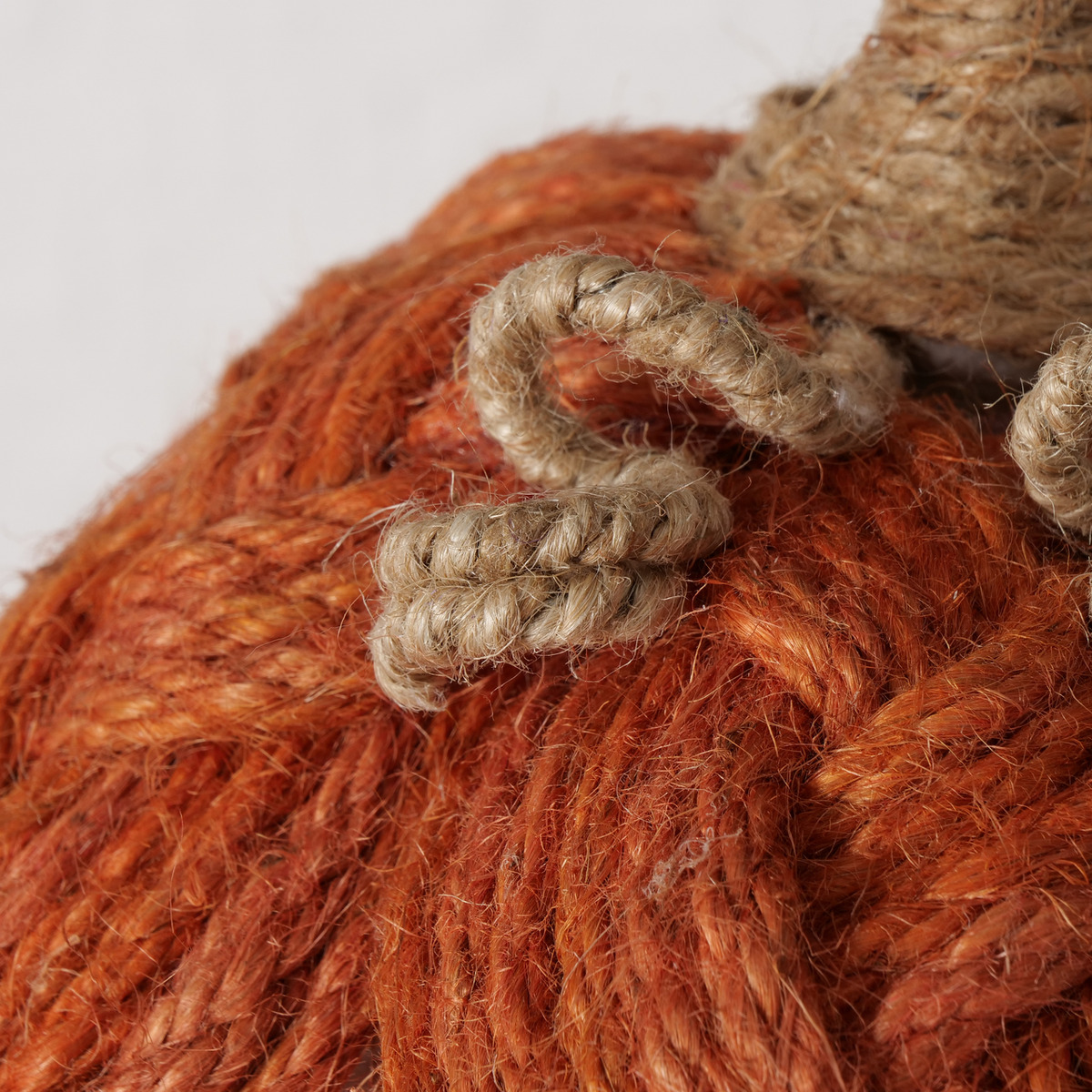 Kürbis NARIN Kürbis NARIN