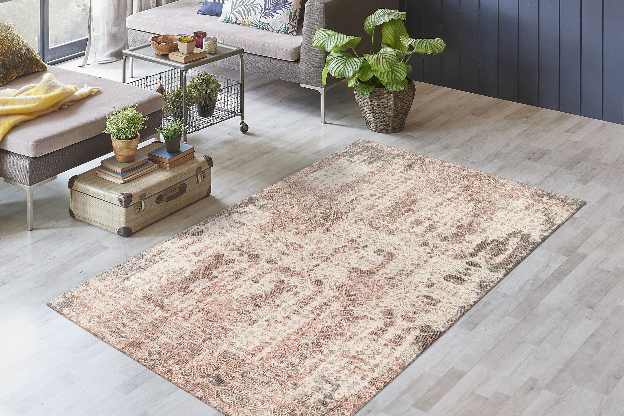 Teppich  PERRY 225 Teppich  PERRY 225