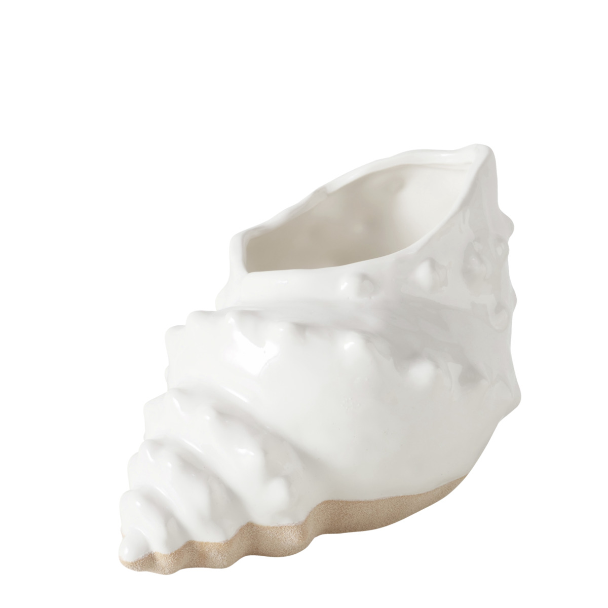 Vase Muschel SHELBY