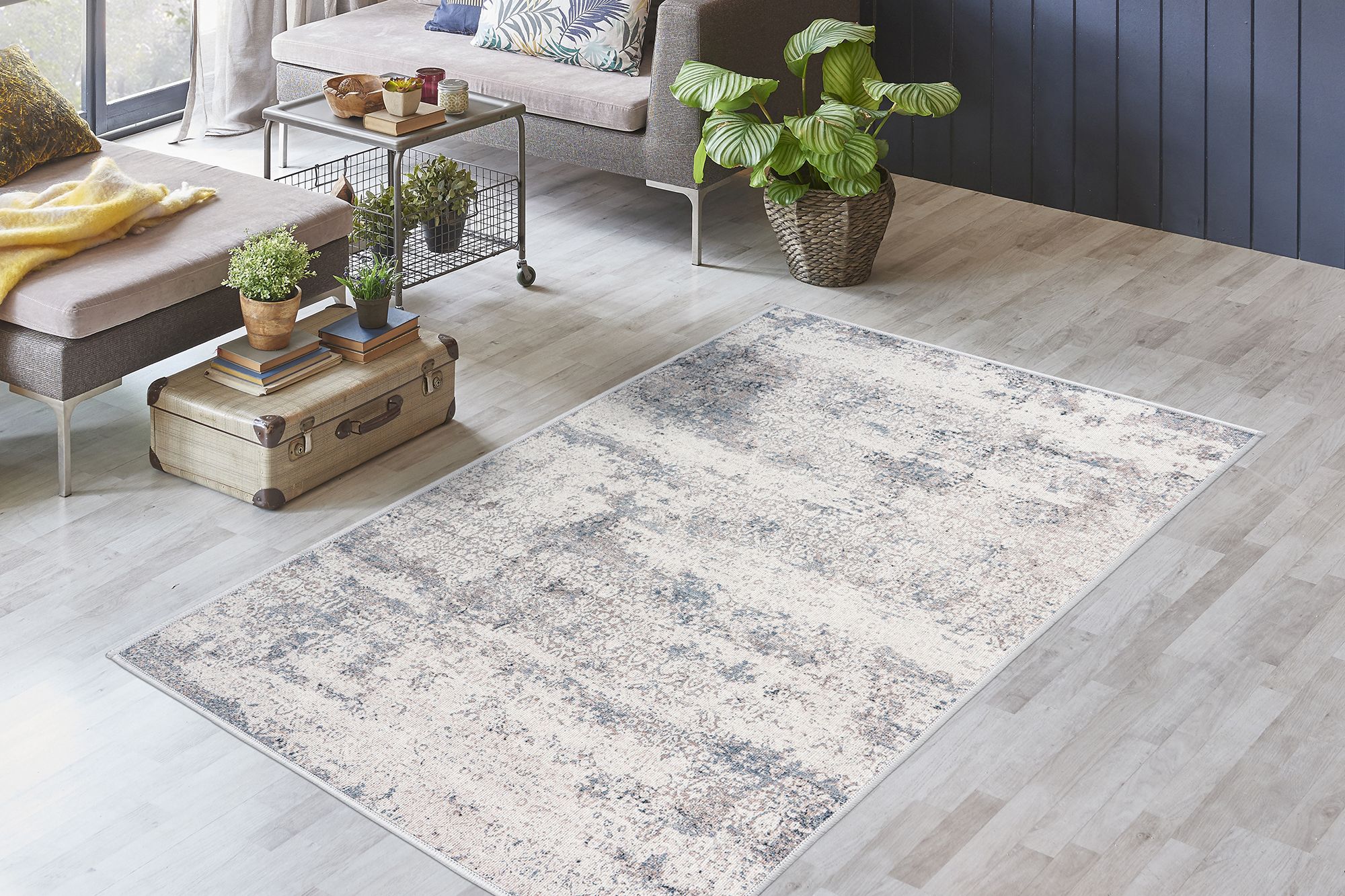 Teppich  MAGIA 325 Teppich  MAGIA 325