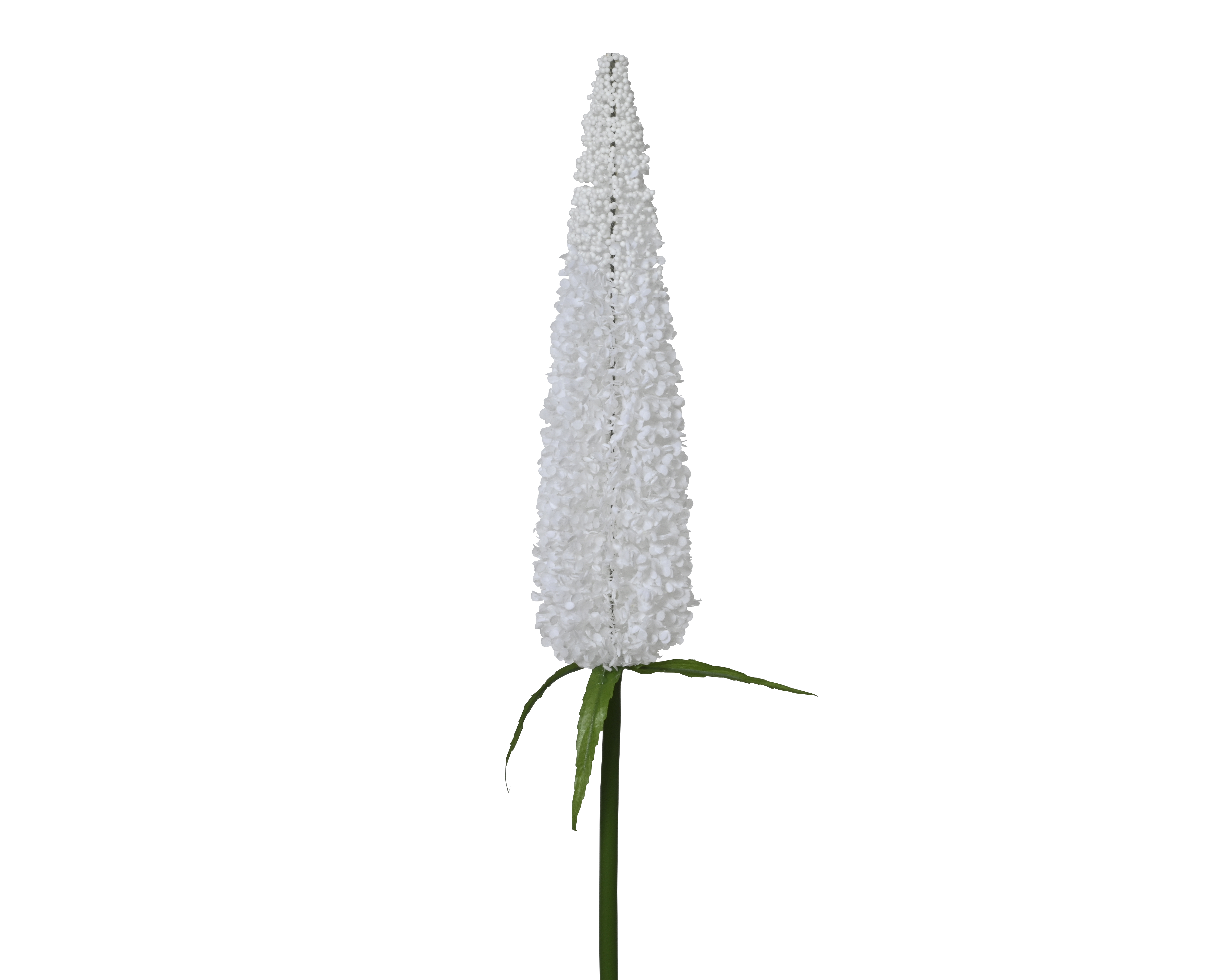 Kunstblume  PUSCHEL