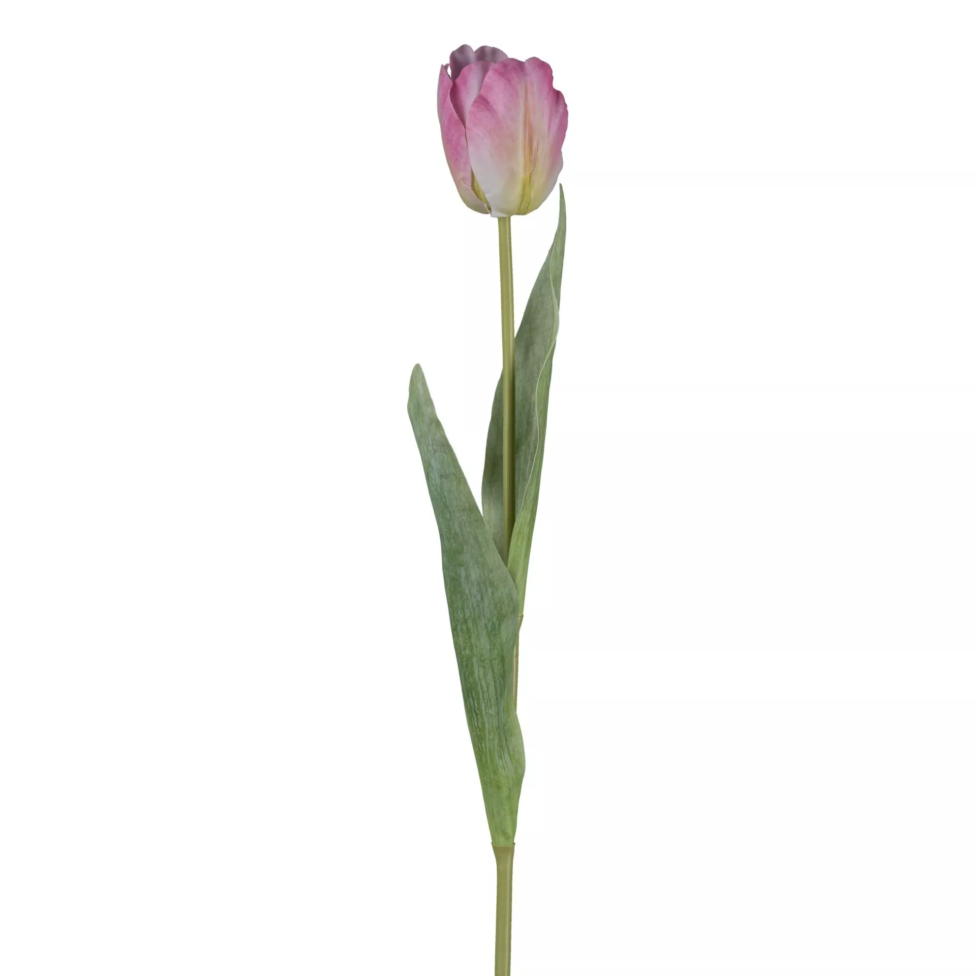 Deko-Blume TULPE
